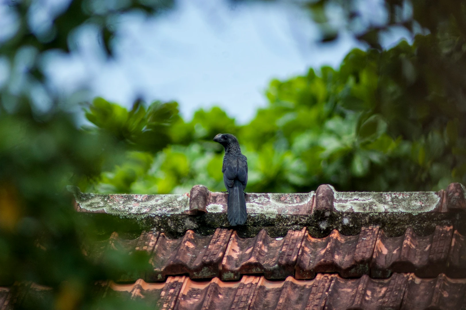 julia-craice-jmRzwCMbSpQ-unsplash
